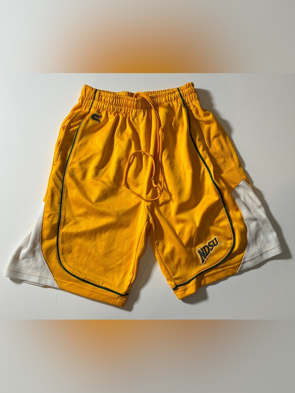 NDSU Bison Colosseum Basketball Shorts Men's S
